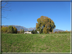 foto Paesaggi Autunnali tra le colline Fontesi